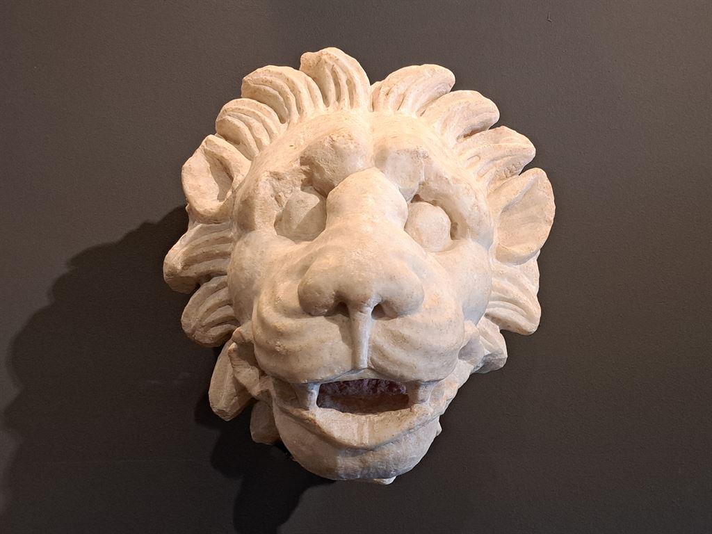 lion
