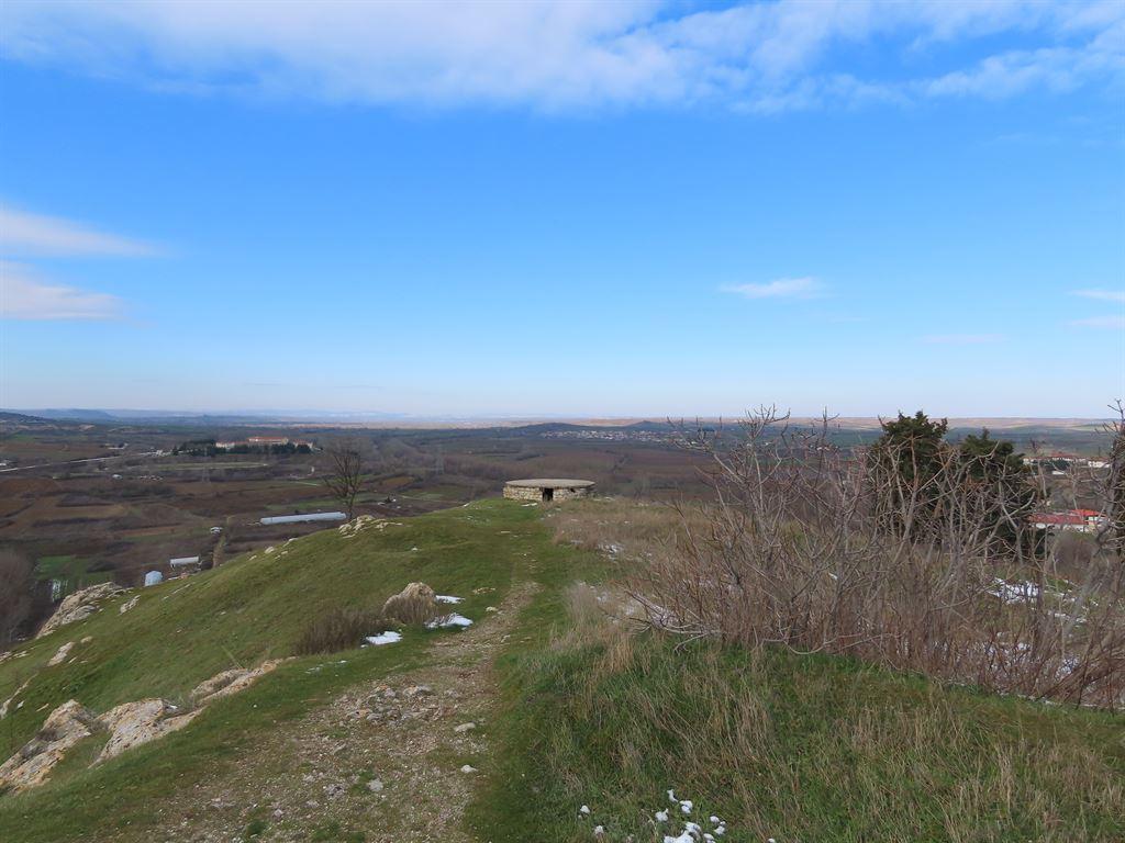 view