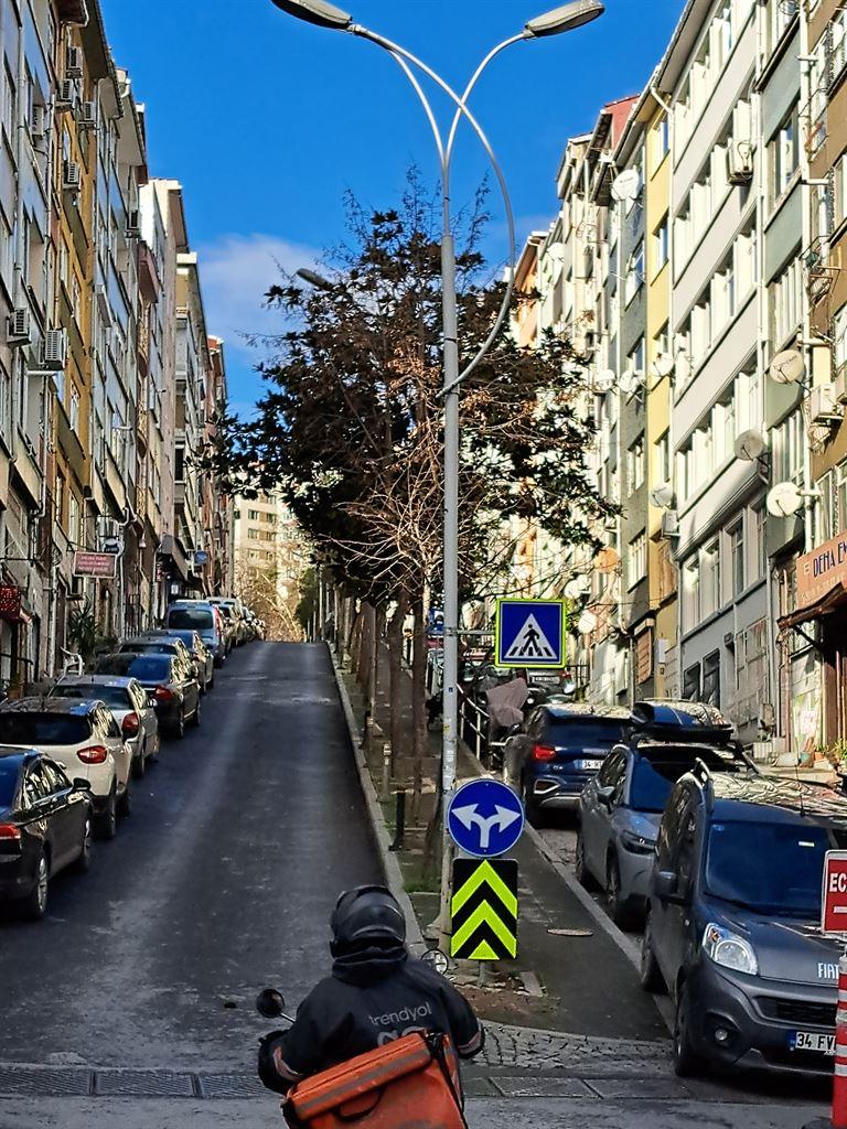 hill