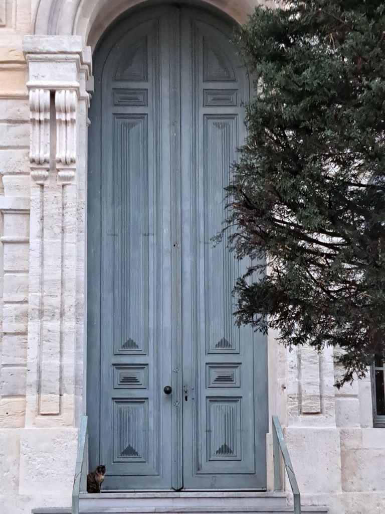 door&cat