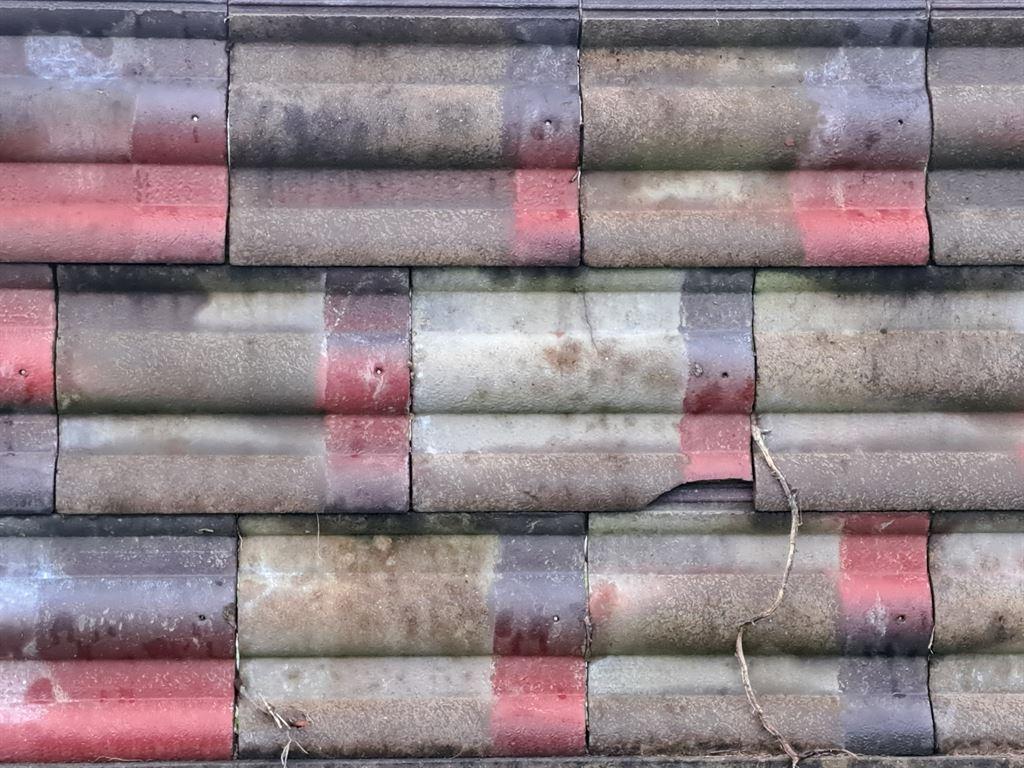 fence