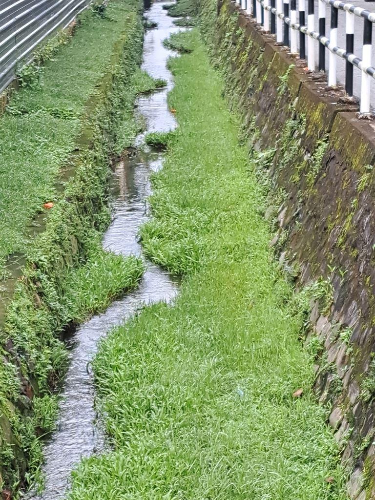 drain