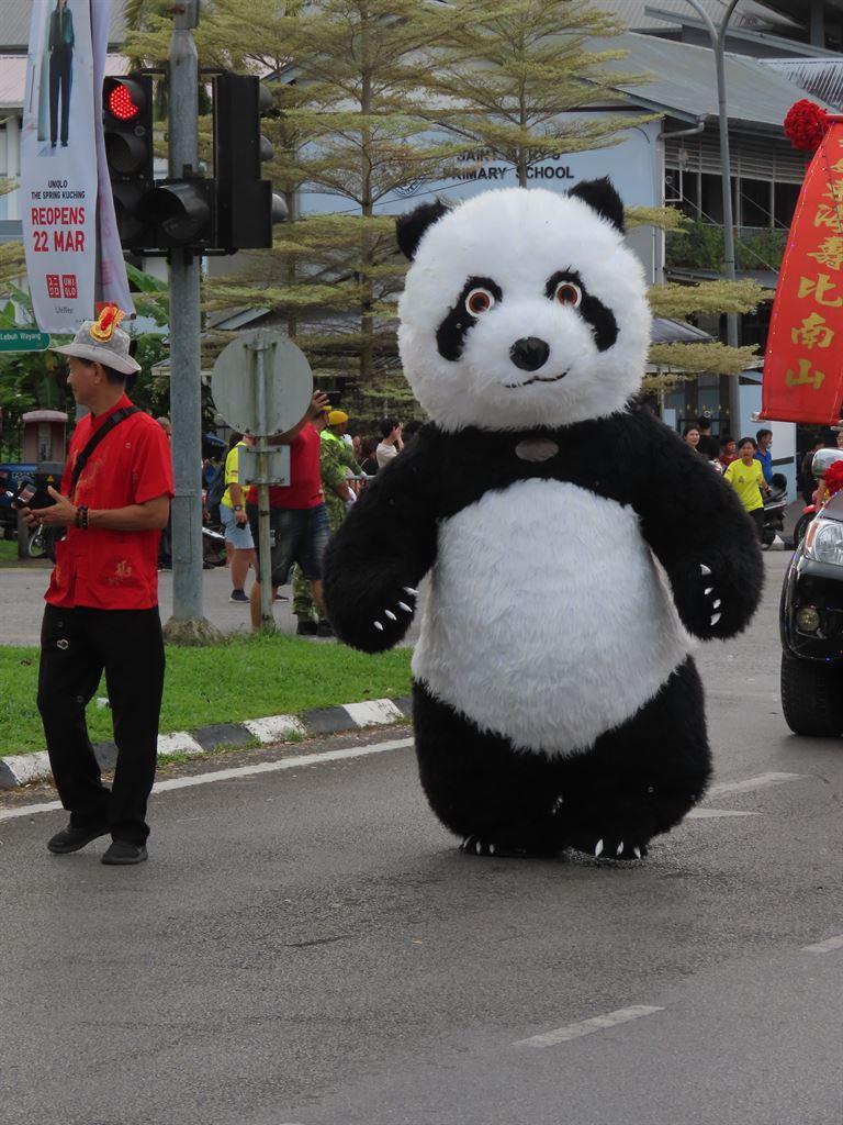 panda1