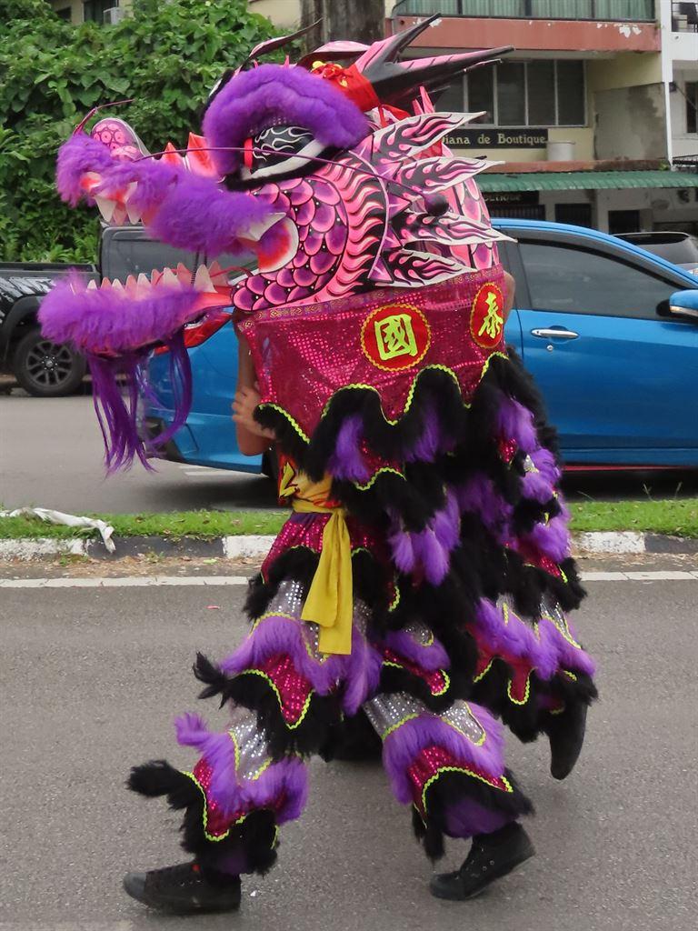 purpledragonlion
