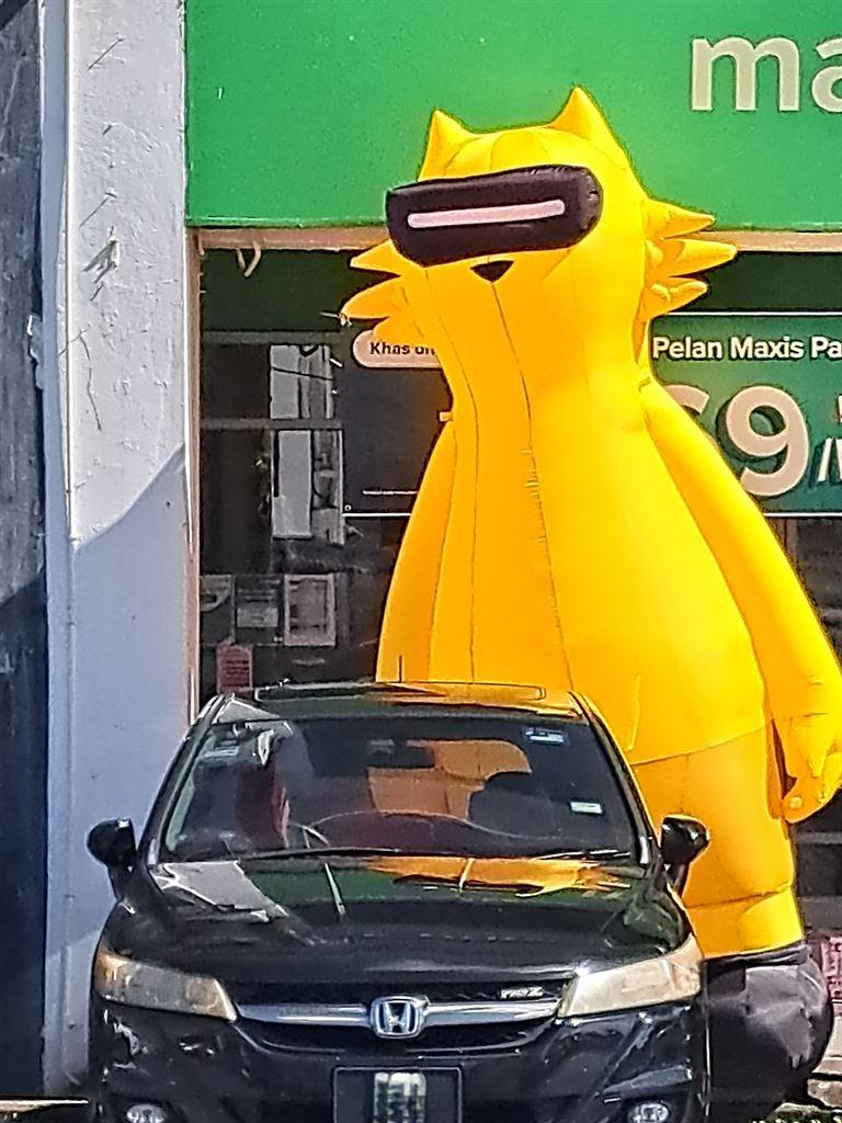 yellowanimal