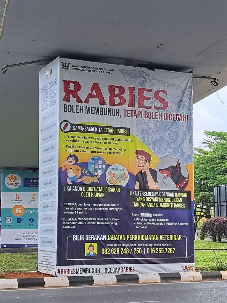 rabies