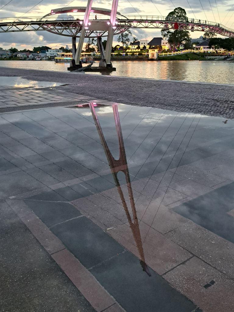 bridgereflex