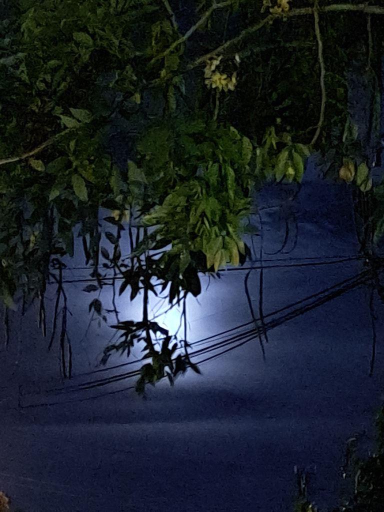 moon