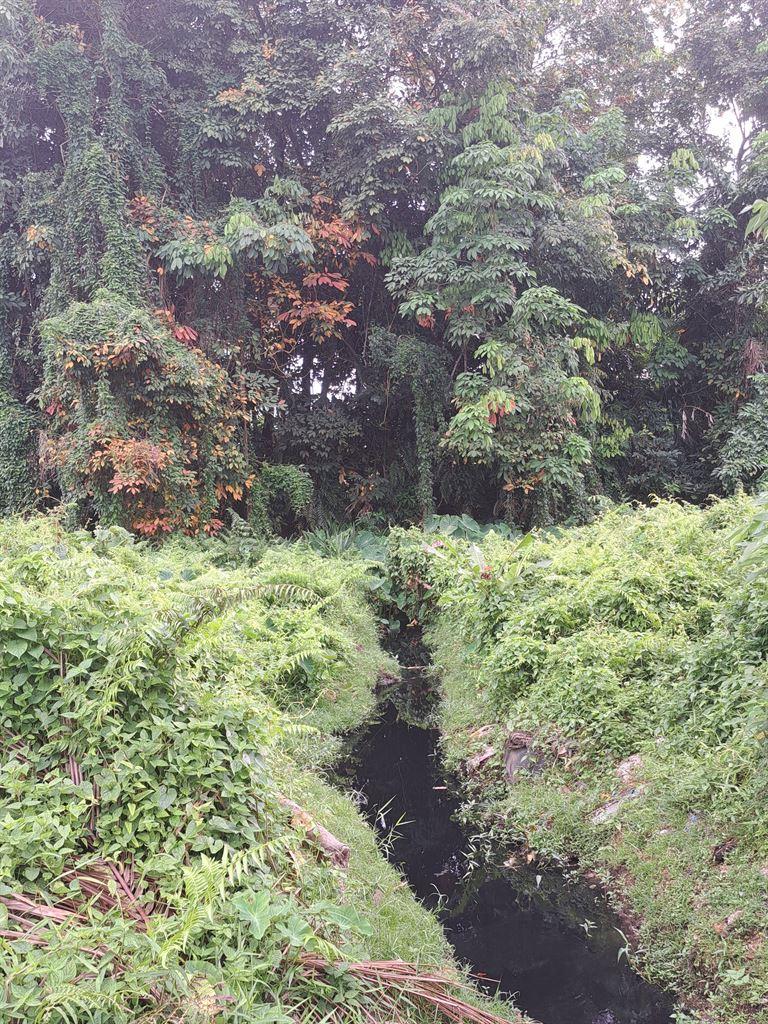 greenery