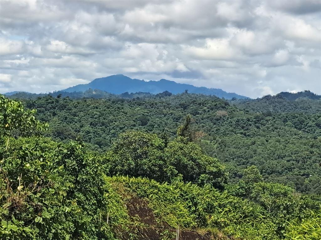scenery2