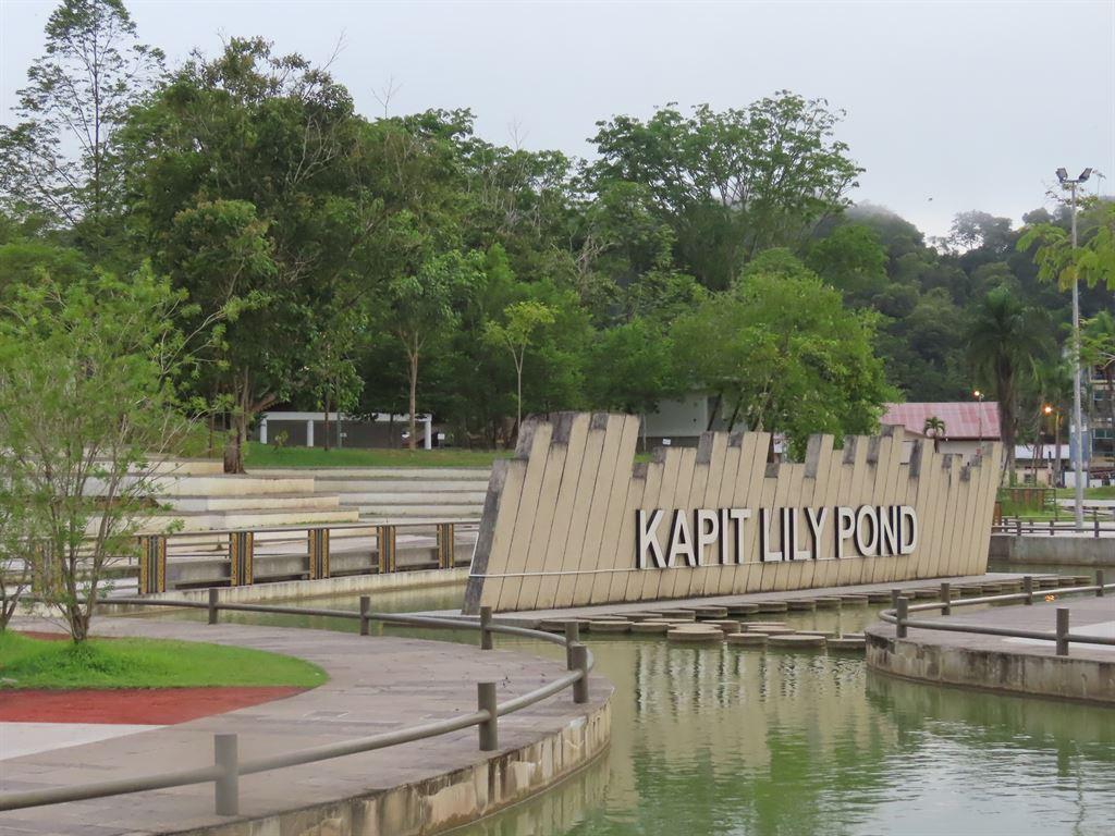 lilypond