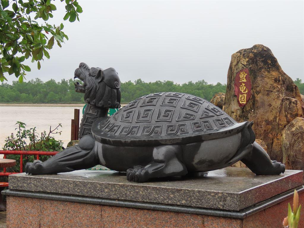 turtle
