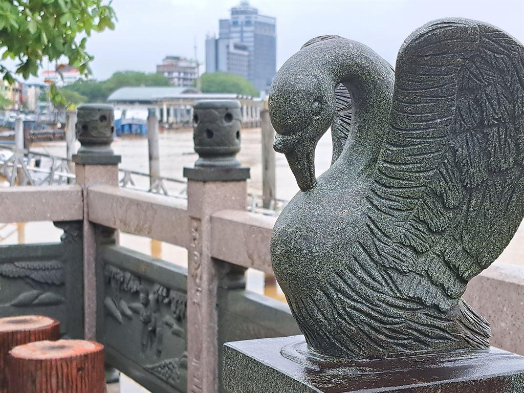 swan