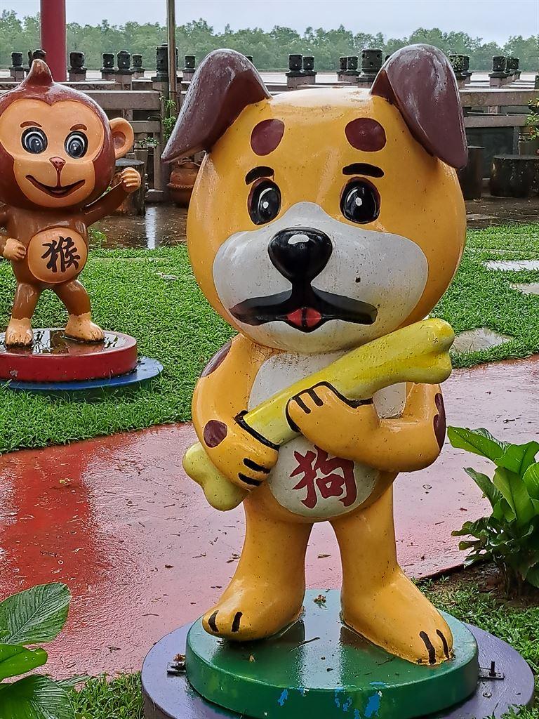dog