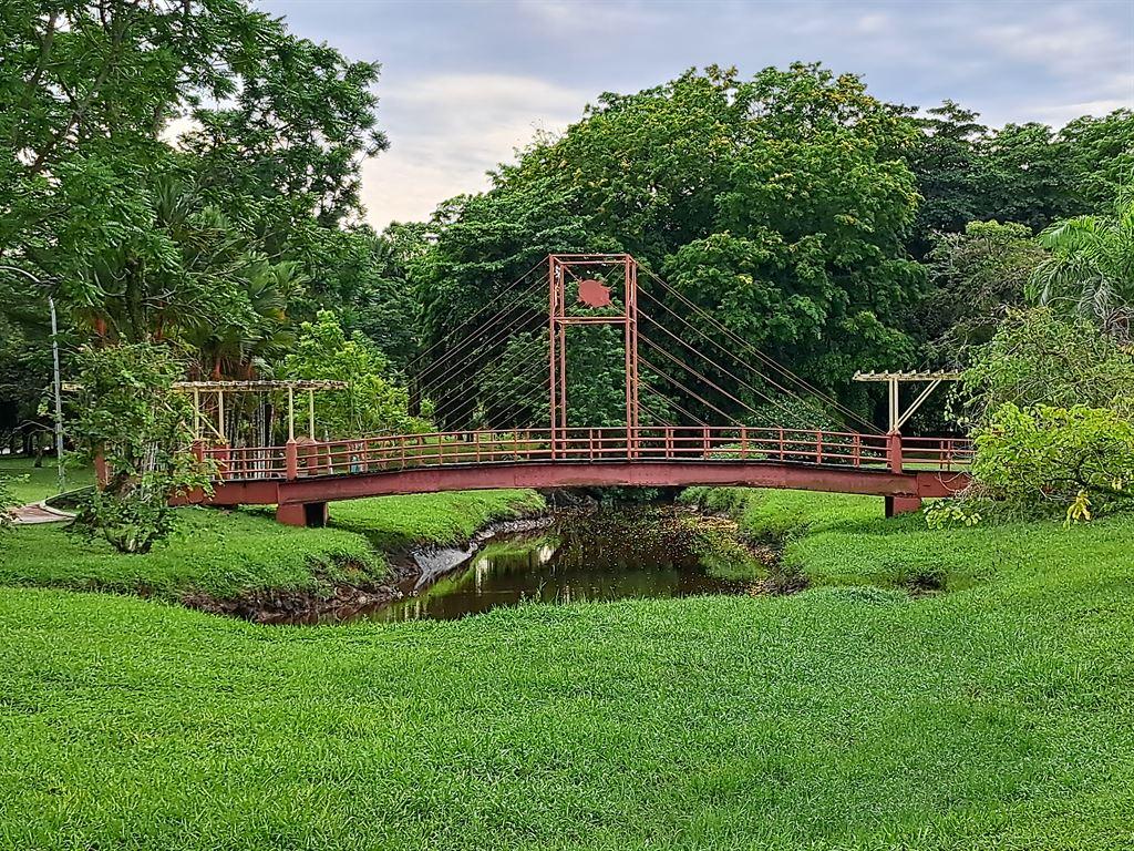 bridge1