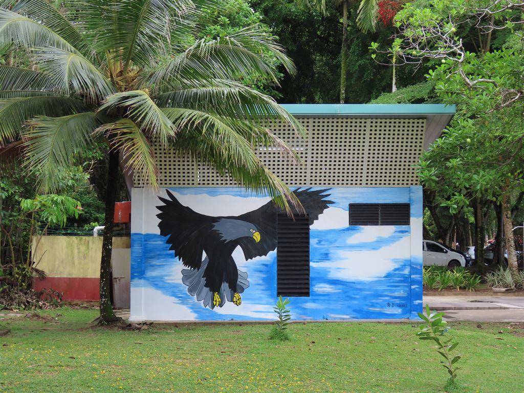 eagle