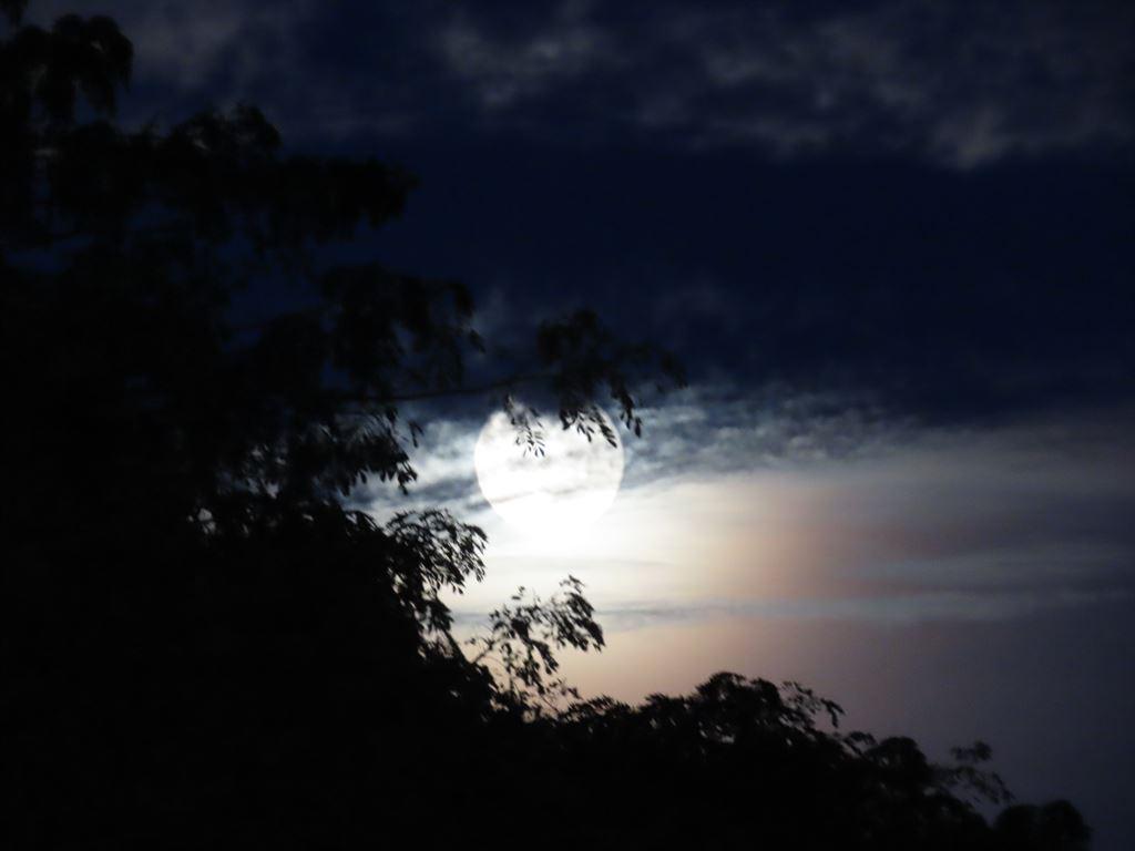 moon1