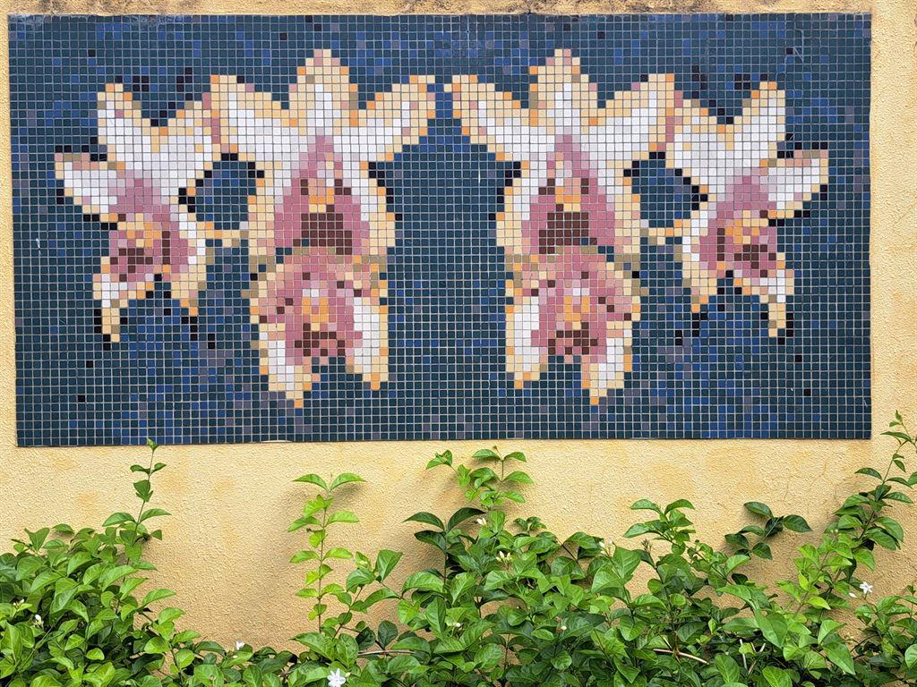 tileorchid