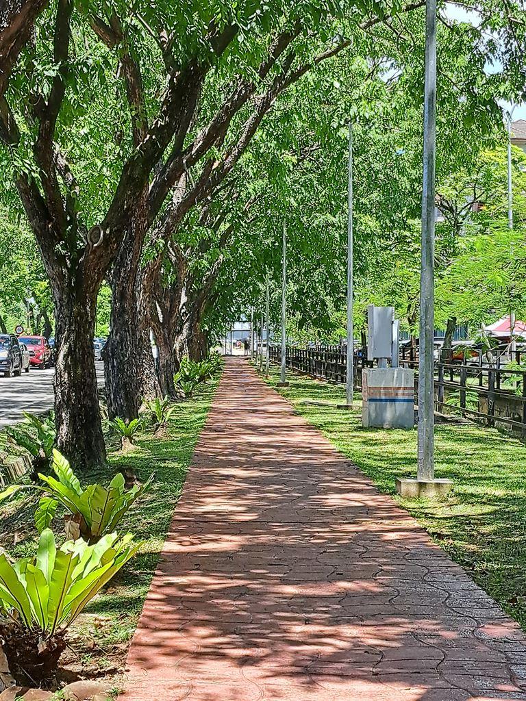 trees