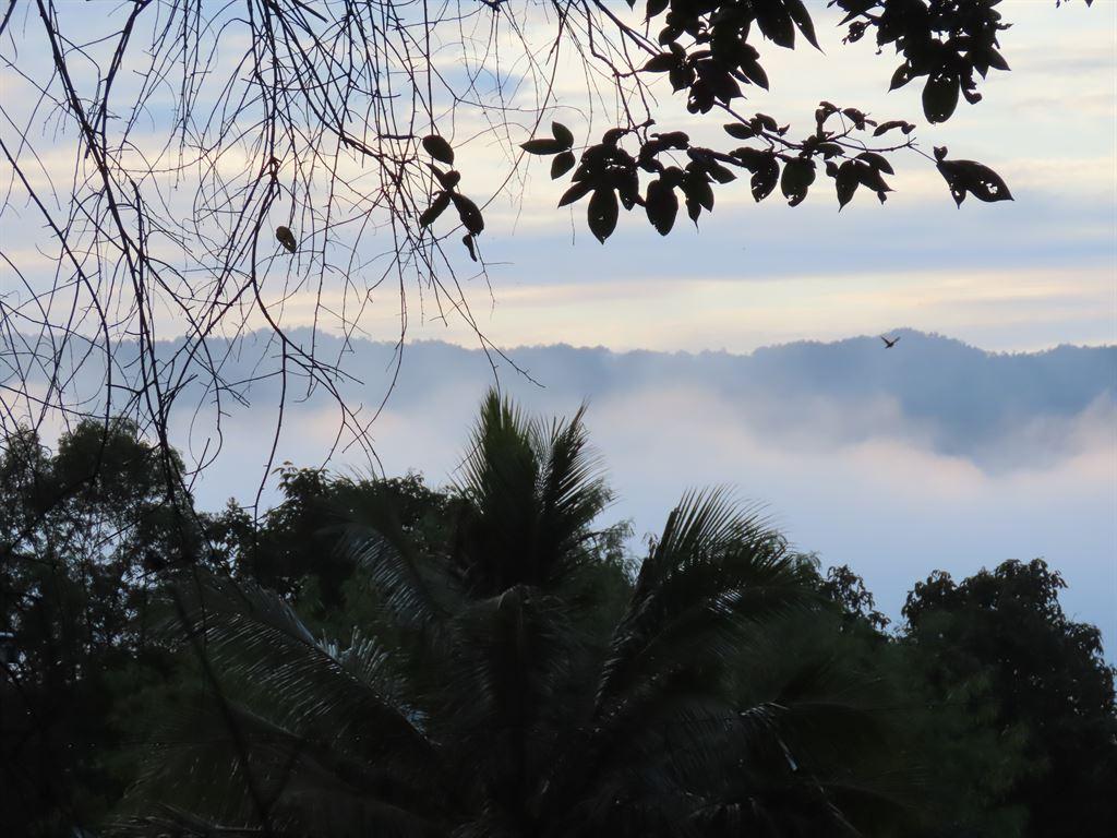 mist5