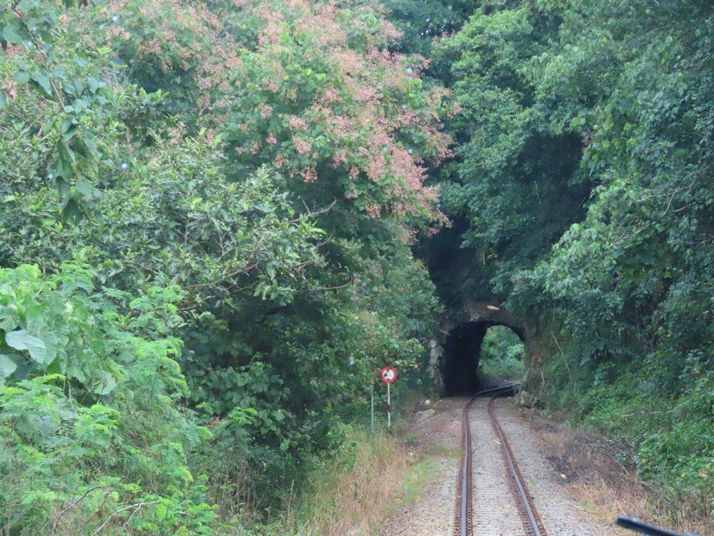 tunnel