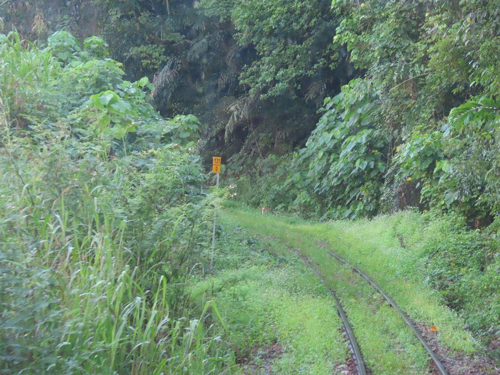 train3