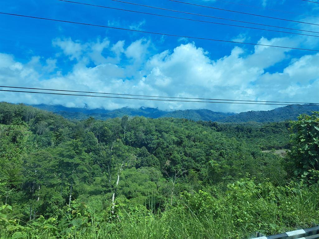 views4