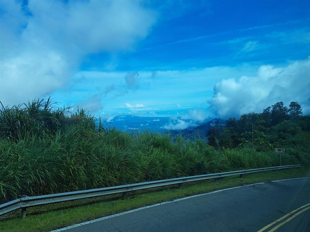 views2