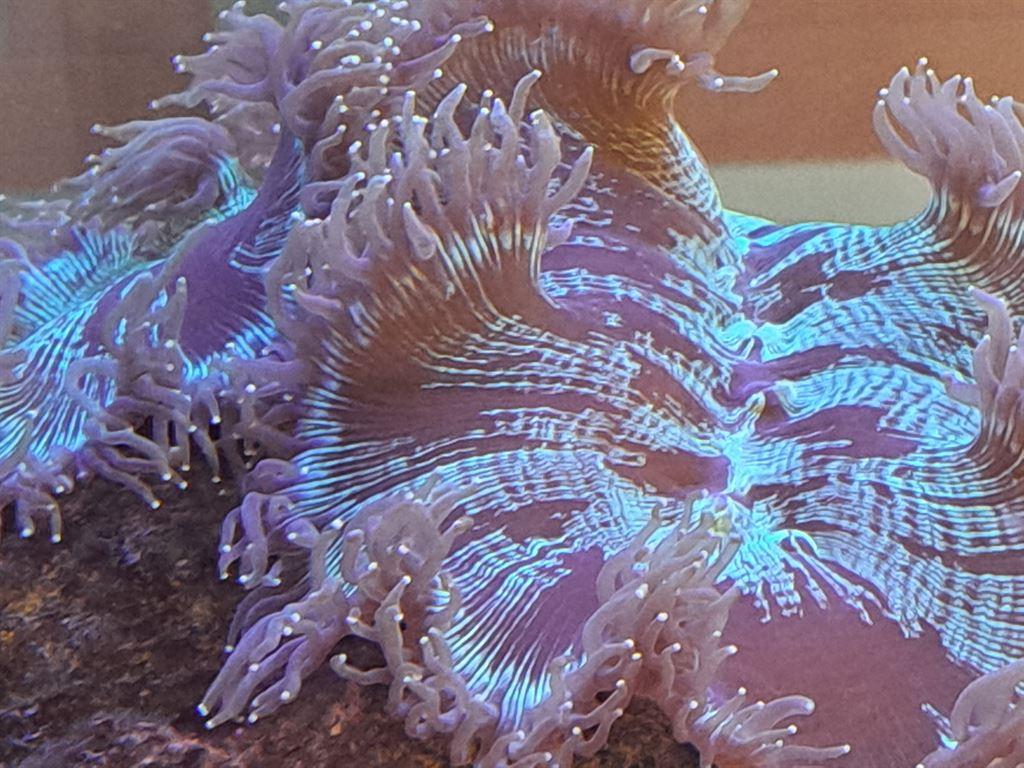 aquarium