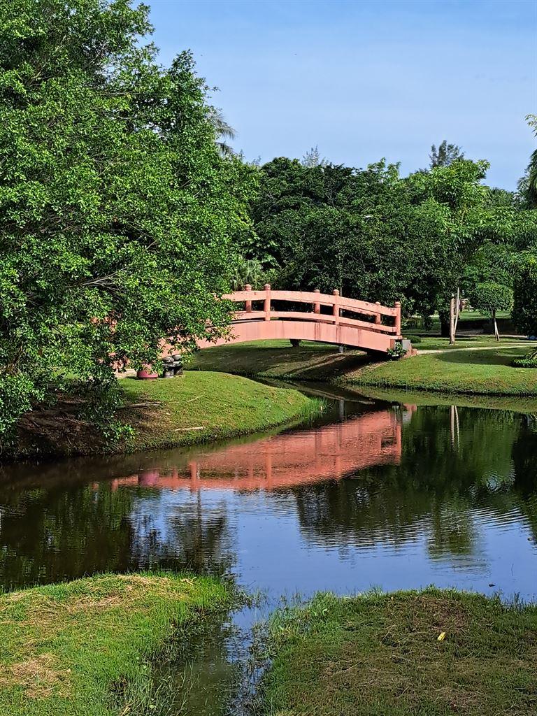 bridge