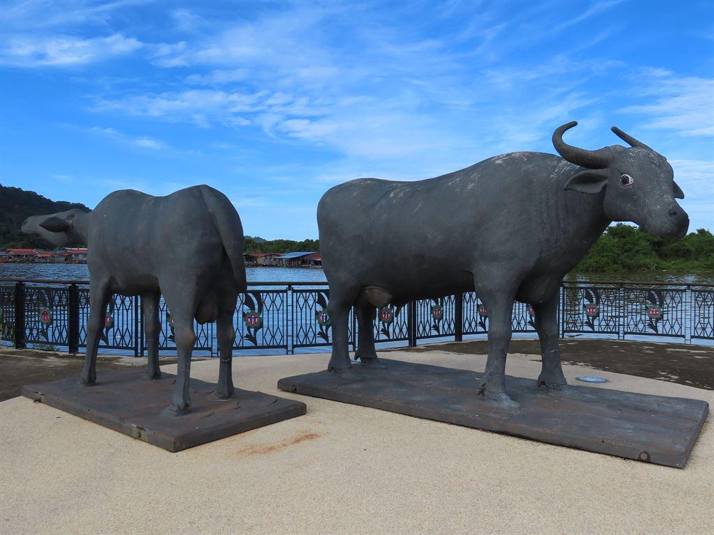 buffalo1