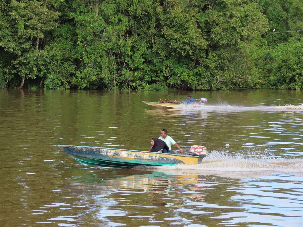 boat3