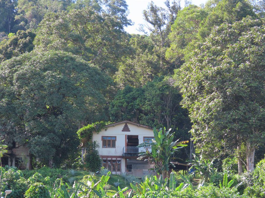 houseinwood