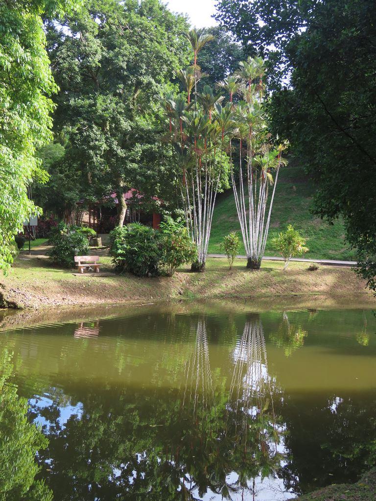 bukitmas2