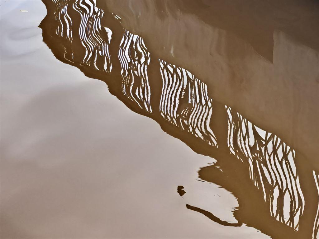 reflecs