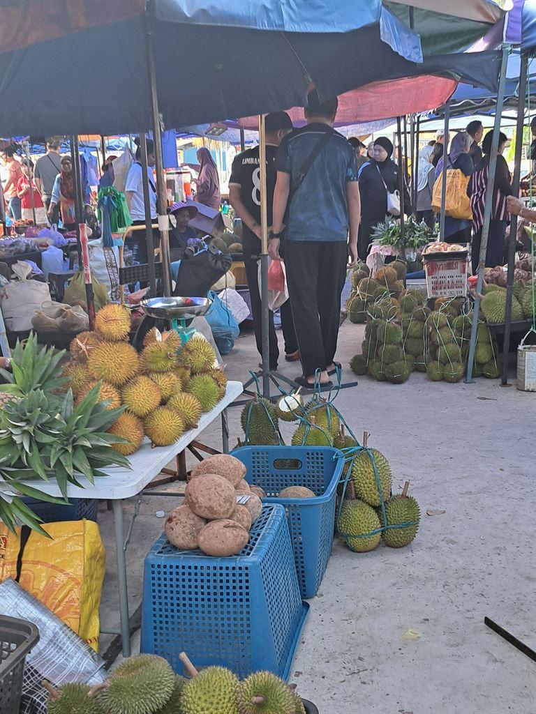 durian1
