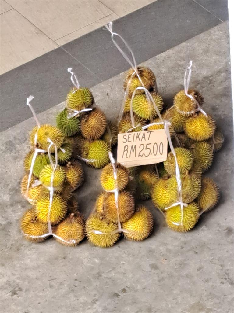 durian3