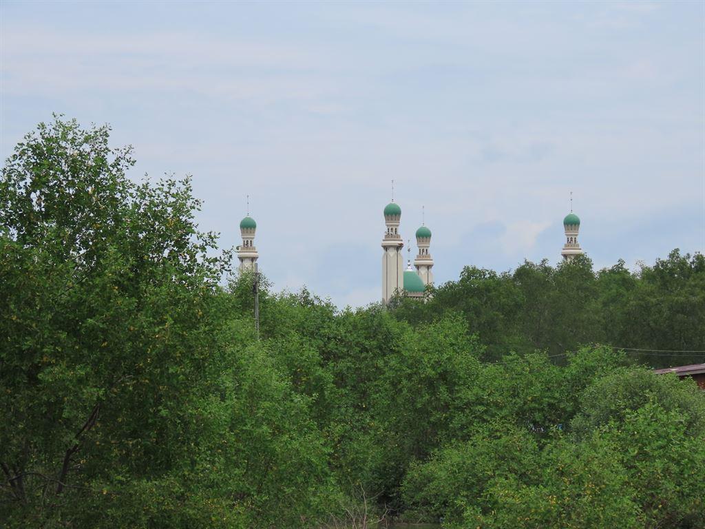 mosquetop