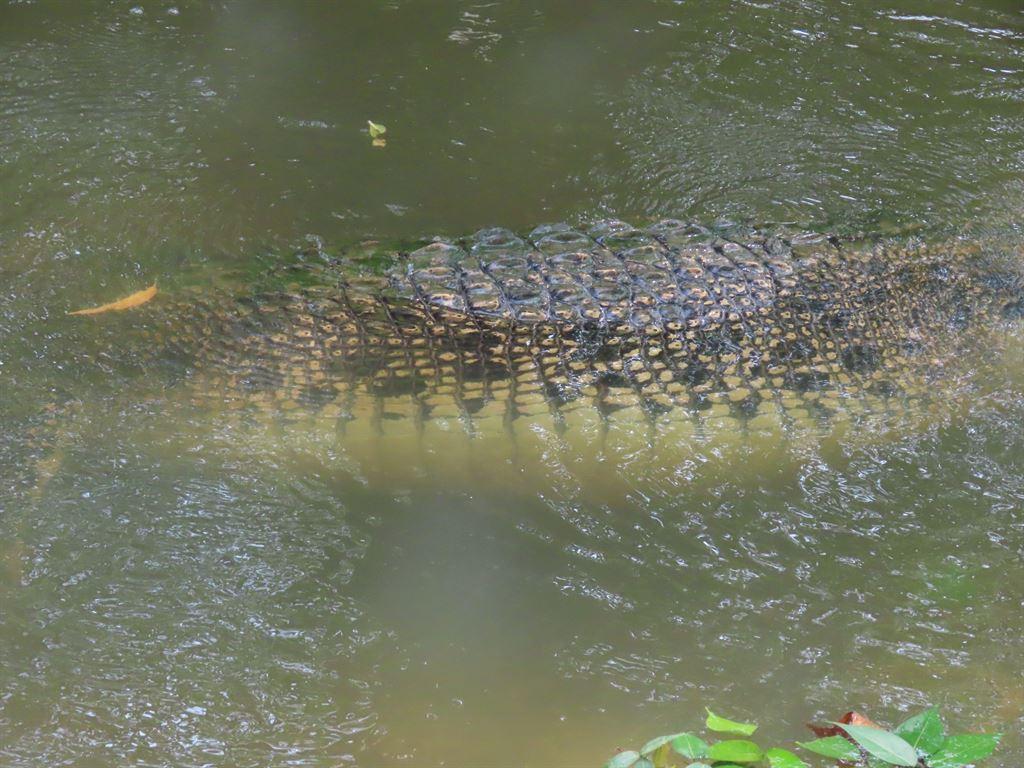 pmcroc2