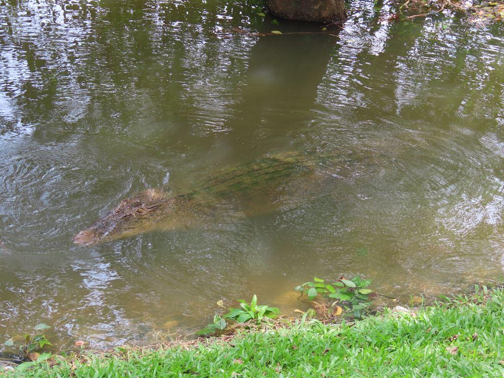 pmcroc3