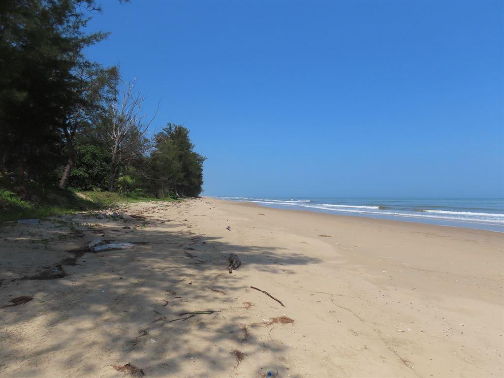 beach1