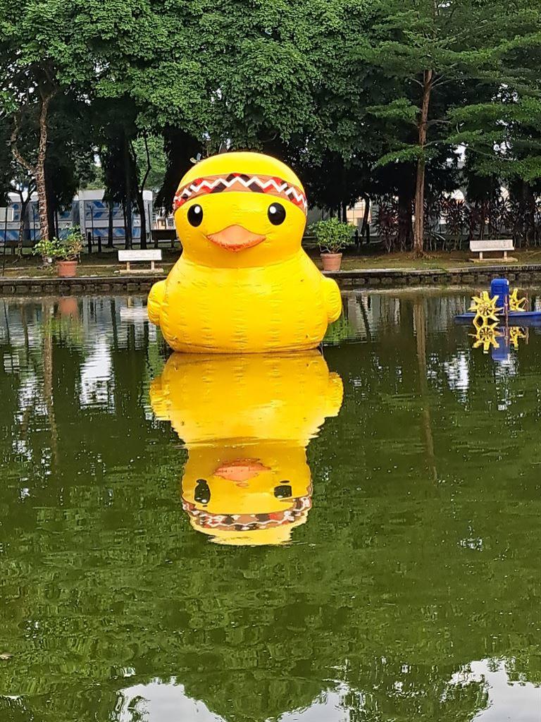 duck