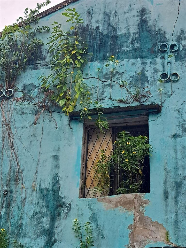 wall