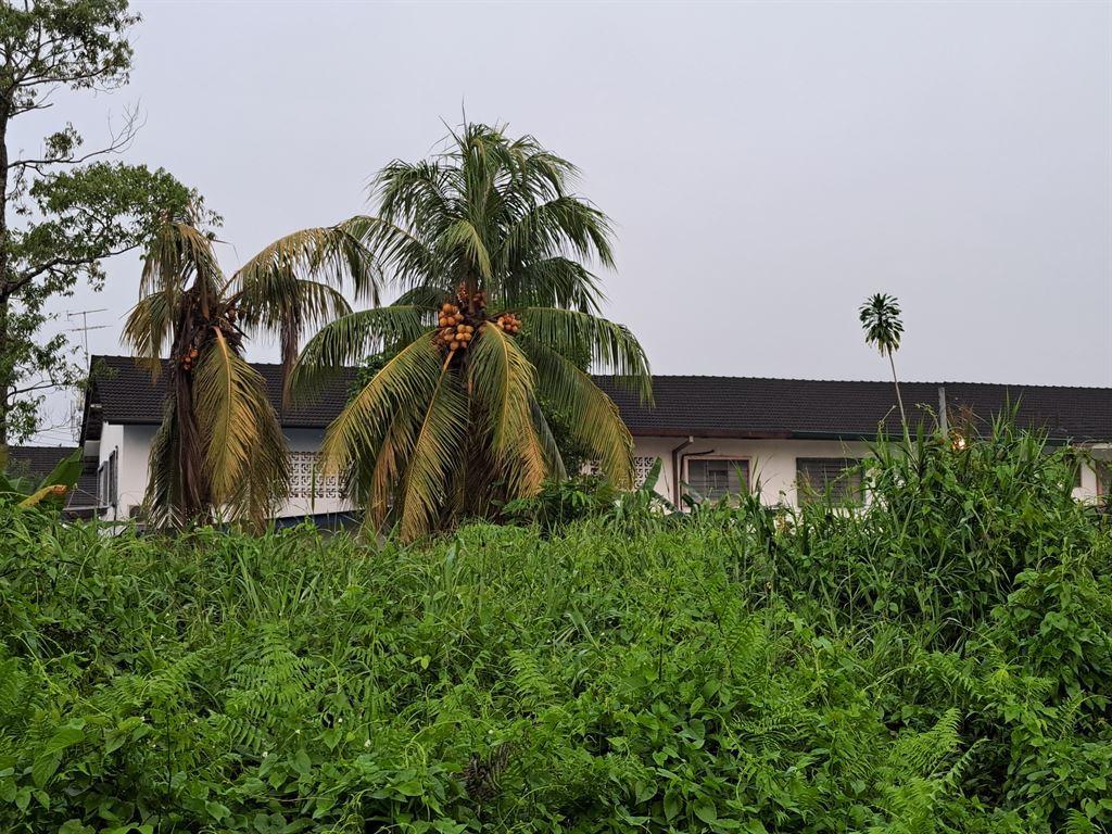greenery