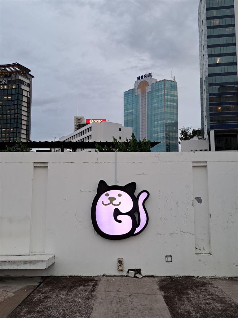 cat2