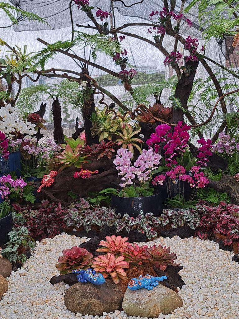 display2