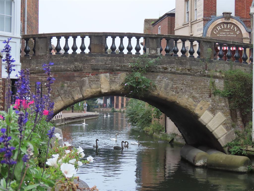 bridge