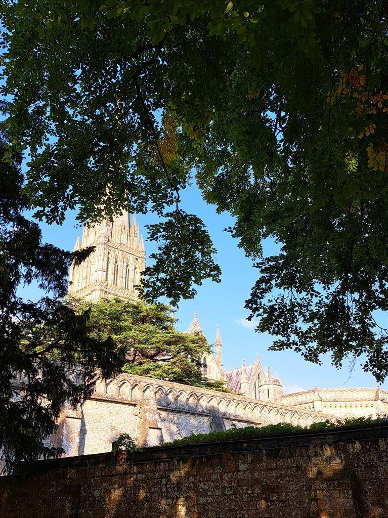 spire&trees