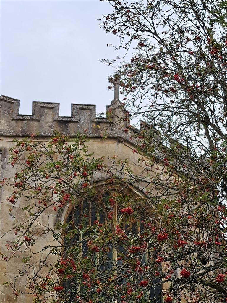 berries
