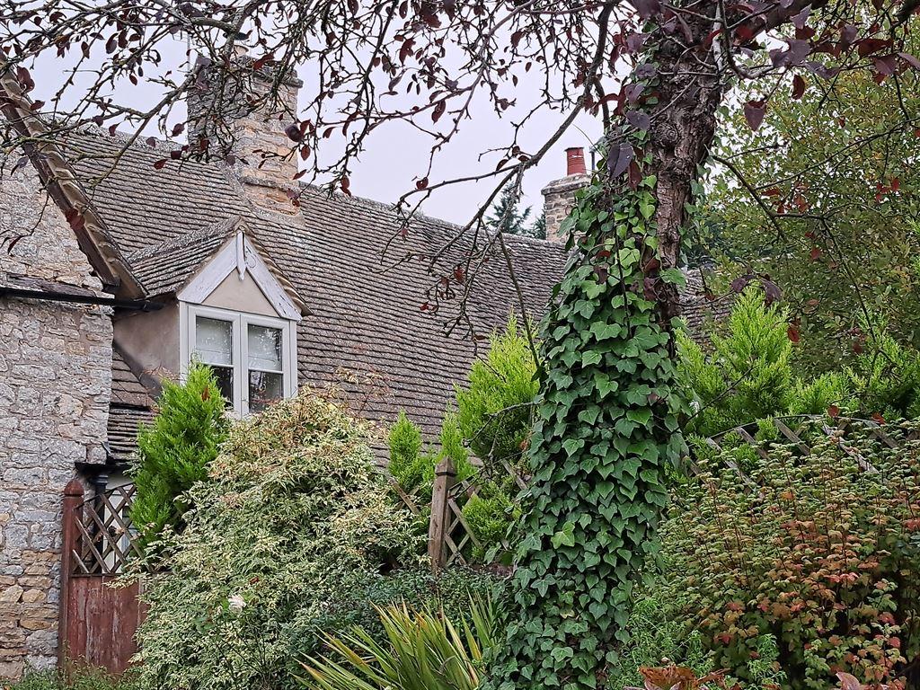 thatch